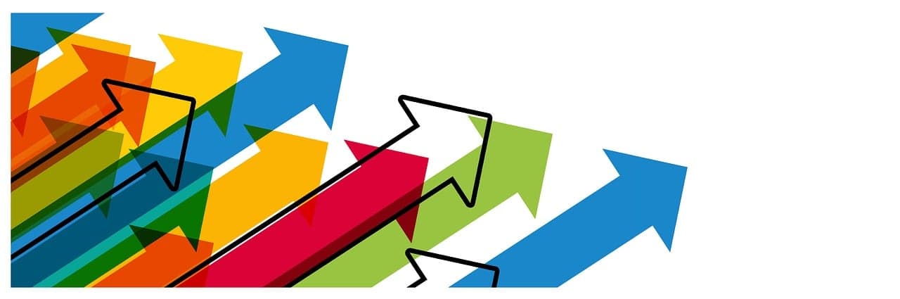 company growth